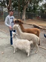 Великий кормчий-2.jpeg Великий кормчий-2.jpeg